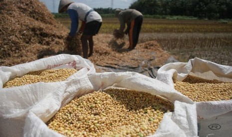 Soybean harvest (illustration)