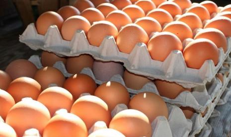 Drop in Egg Prices Causes 0.02 Percent Deflation in Malang thumbnail