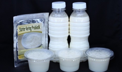 Starter kering yoghurt probiotik.