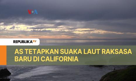 Suaka laut di California