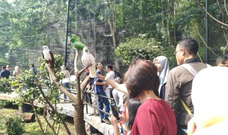 Suasana Bandung Zoo, Jalan Tamansari, Kota Bandung, Kamis (6/6). 