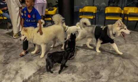 Suasana di Barking Lot, kafe anjing di Arab Saudi