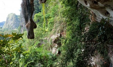 Suasana di kawasan bukit-bukit karst di Kabupaten Maros, Sulawesi Selatan. (ilustrasi)