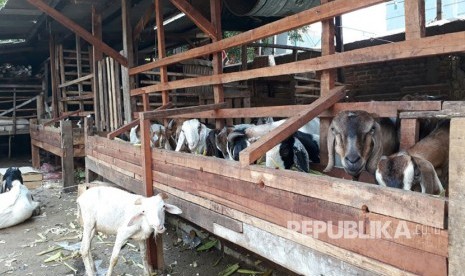 Suasana di Pasar Kambing Jalan Sabeni, Kebon Melati, Tanah Abang, Jakarta Pusat, Senin (7/8). Tempat ini merupakan salah satu pusat penjualan hewan kurban di Jakarta.