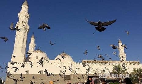 Burung merpati beterbangan di sekitar Masjid Quba, Madinah, Arab Saudi. Masjid Quba di Madinah Diperluas, 200 Properti akan Diambil Alih