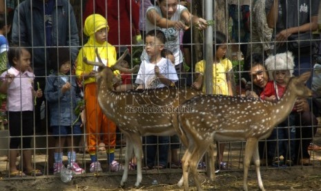 Suasana di Taman Flora Kebun Bibit Bratang, Surabaya.