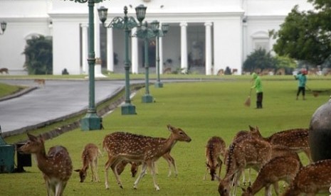 Suasana Istana Bogor.