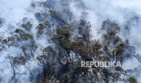 Suasana kebakaran hutan dan lahan (karhutla) di kawasan Kawah Putih, Kecamatan Pasirjambu, Kabupaten Bandung, Selasa (8/10). 