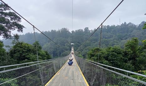 Pemkab Probolinggo Studi Manajemen Jembatan Kaca di Sukabumi (ilustrasi).