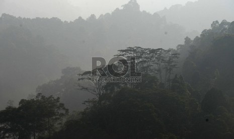  Suasana pagi di dalam Pusat Pendidikan Konservasi Alam Badogol (PPKAB) Taman Nasional Gede Pangrango, Jawa Barat, Senin (23/11).