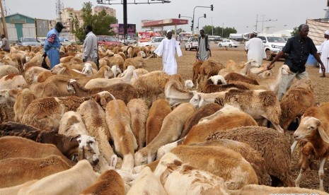 Suasana pasar hewan jelang Idul Adha di Sudan.