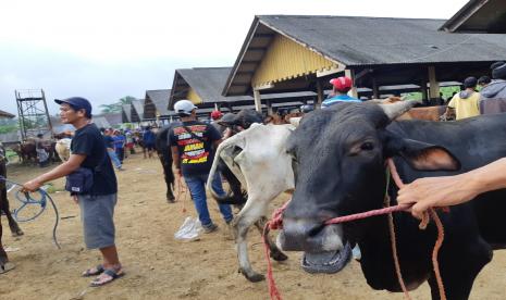 Suasana Pasar Hewan Manonjaya, Kabupaten Tasikmalaya, Rabu (8/7). 