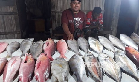 Ikan segar yang diperjual belikan di pasar tradisional (ilustrasi) 