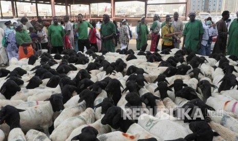 Suasana pasar kambing Kakiah di Makkah, Senin (5/9). (Republika/ Amin Madani)