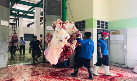 Masyarakat Diminta Potong Hewan Qurban di RPH (ilustrasi).