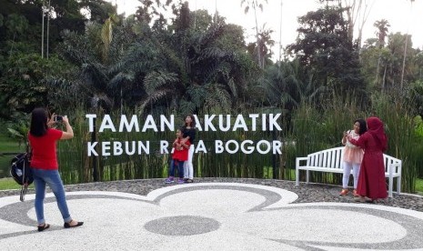 suasana wisatawan di kebun raya Bogor