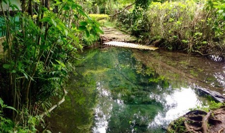 Sumber mata air asli Sungai Citarum bernama Cikahuripan. Cikahuripan merupakan mata air awal dari enam mata air lainnya di Situ Cisanti