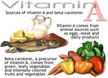 Sumber VItamin A (Ilustrasi)