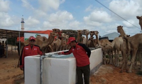 Sumur dalam PKPU Human Initiative tak hanya untuk konsumsi warga tetapi juga ternak dan pertanian.