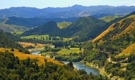 Sungai Whanganui di Selandia Baru.