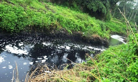 Belum Patuhi Instruksi Bupati, Produksi PT SLI Dilarang. Foto:   Sungai yang tercemar akibat pembuangan limbah dari pabrik (ilustrasi).