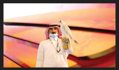 Super White Gyrfalcon