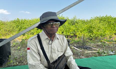 Sururi, penerima penghargaan Kalpataru 2024 dari Presiden Joko Widodo. Penghargaan ini diterima Sururi atas dedikasinya dalam pelestarian mangrove di kawasan pesisir Semarang, Jawa Tengah.