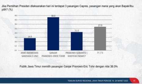 Survei Indopol 18 April 2023.