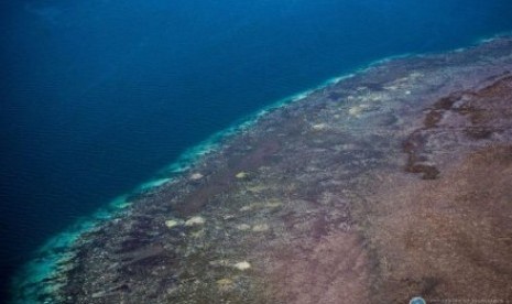 Survei udara mendapati pemutihan karang di Cape Grenville di Utara Queensland. 