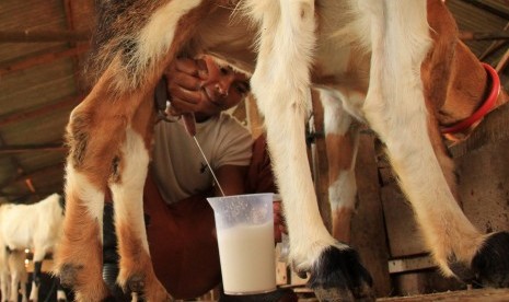 Susu kambing