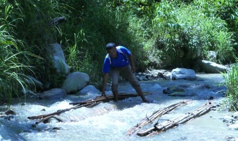 Suyadi, sekretaris Kelompok Rotan Lestari Desa Namo, Kecamatan Kulawi, Kabupaten Sigi, Sulawesi Tengah, sedang merendam rotan sehabis dipanen dari hutan desa. 