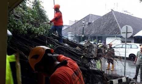 Tak sampai satu jam setelah pohon beringin yang beusia 100 tahun lebih  tumbang,  tim gabungan dari BPBD DIY , Kepolisian, Dinas Pekerjaaan Umum Kota Yogyakarta dan relawan melakukan penebangan pohon, Selasa (28/11).