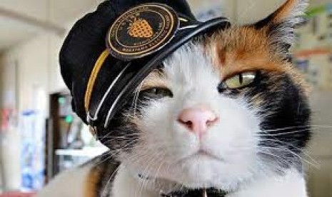 Tama, kucing yang menjadi kepala stasiun kereta api di Jepang