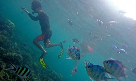 Taman Bawah Laut Pahawang. Pulau Pahawang merupakan satu dari beberapa pulau kecil di Teluk Lampung.