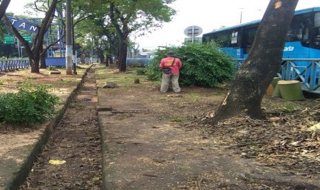 Taman di depan Terminal Kampung Rambutan sering digunakan warga untuk buang air kecil.