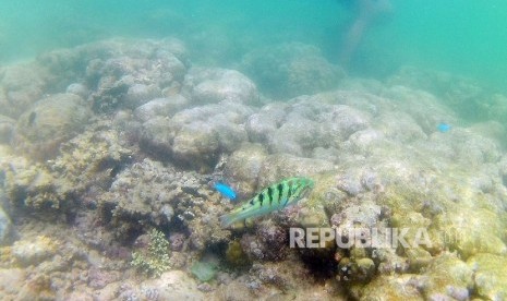 Taman Laut Bunaken, Kota Manado, Provinsi Sulawesi Utara.