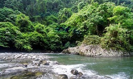 Taman Nasional Gunung Leuser, Aceh