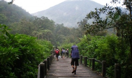 Taman Nasional Gunung Pangrango