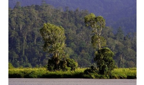 Taman Nasional Lore Lindu