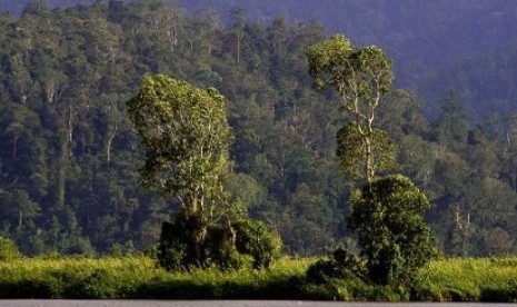 Taman Nasional Lore Lindu dengan Danau Tambing di dalamnya (ilustrasi). TNLL kembali menutup wisata di kawasan konservasi.