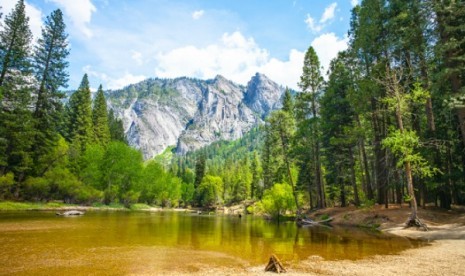 Taman Nasional Yosemite Kalifornia. Sekitar 170 orang yang kunjungi Taman Nasional Yosemite di Kalifornia kena norovirus.