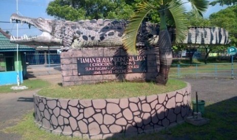  Taman Wisata Buaya Indonesia Jaya di Cikarang, Jawa Barat