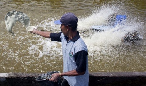 Tambak ikan (ilustrasi)