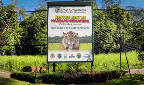 Tambling Wildlife Nature Concervation (TWNC-Lampung) 