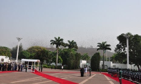 Tampak kelelawar berhamburan di atas upacara penyambutan Presiden SBY di Abuja, Nigeria, Sabtu (2/2). Mereka dikejutkan suara dentuman meriam yang dibunyikan menyambut kedatangan SBY. Kelelawar bersarang di bukit batu Aso Rock yang terletak di depan Aso Ro