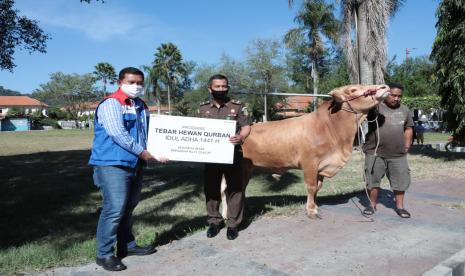 Tampak salah satu hewan kurban sapi yang akan diserahkan ke panitia kurban