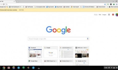 tampilan google chrome