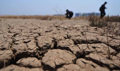 Tanah kering di kawasan gersang Rusun Marunda, Jakarta Utara, Kamis (25/9).Badan Meteorologi Klimatologi Geofisika (BMKG) memperdiksrta, Bogor, Depok, Tangerang, dan Bekasi akan mengalami kekeringan hingga Oktober mendatang.