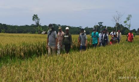 Tanah wakaf yang diamanahkan kepada Badan Wakaf Al-Hidayah di Ujung Genteng, Ciaracap,  Sukabumi.