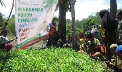 tanam pohon cendana, salah satu kegiatan pppa daarul quran